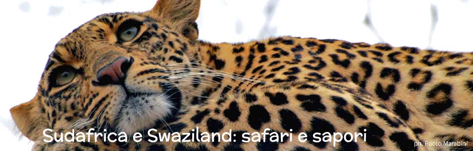 3_adventour_sudafrica_swaziland_safari_sapori 3_adventour_sudafrica_swaziland_safari_sapori