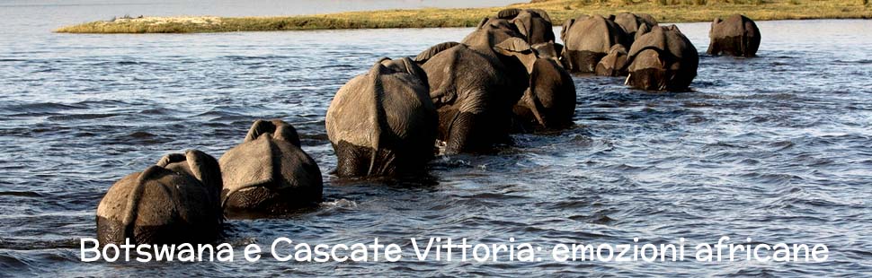 3_adventour_botswana_chobe_03 3_adventour_botswana_chobe_03