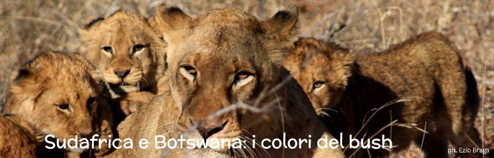 3_adventour_sudafrica_botswana_colori_del_bush 3_adventour_sudafrica_botswana_colori_del_bush